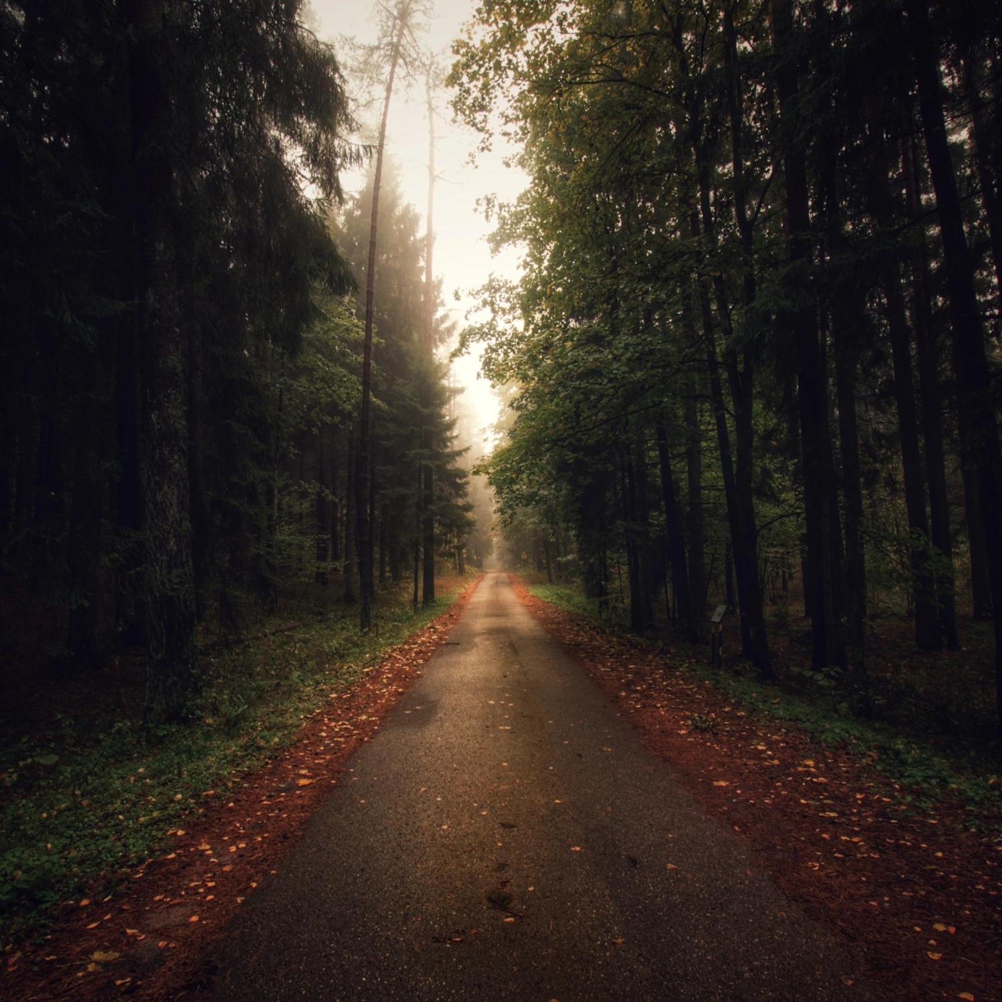 Cozy Reja Suwalki