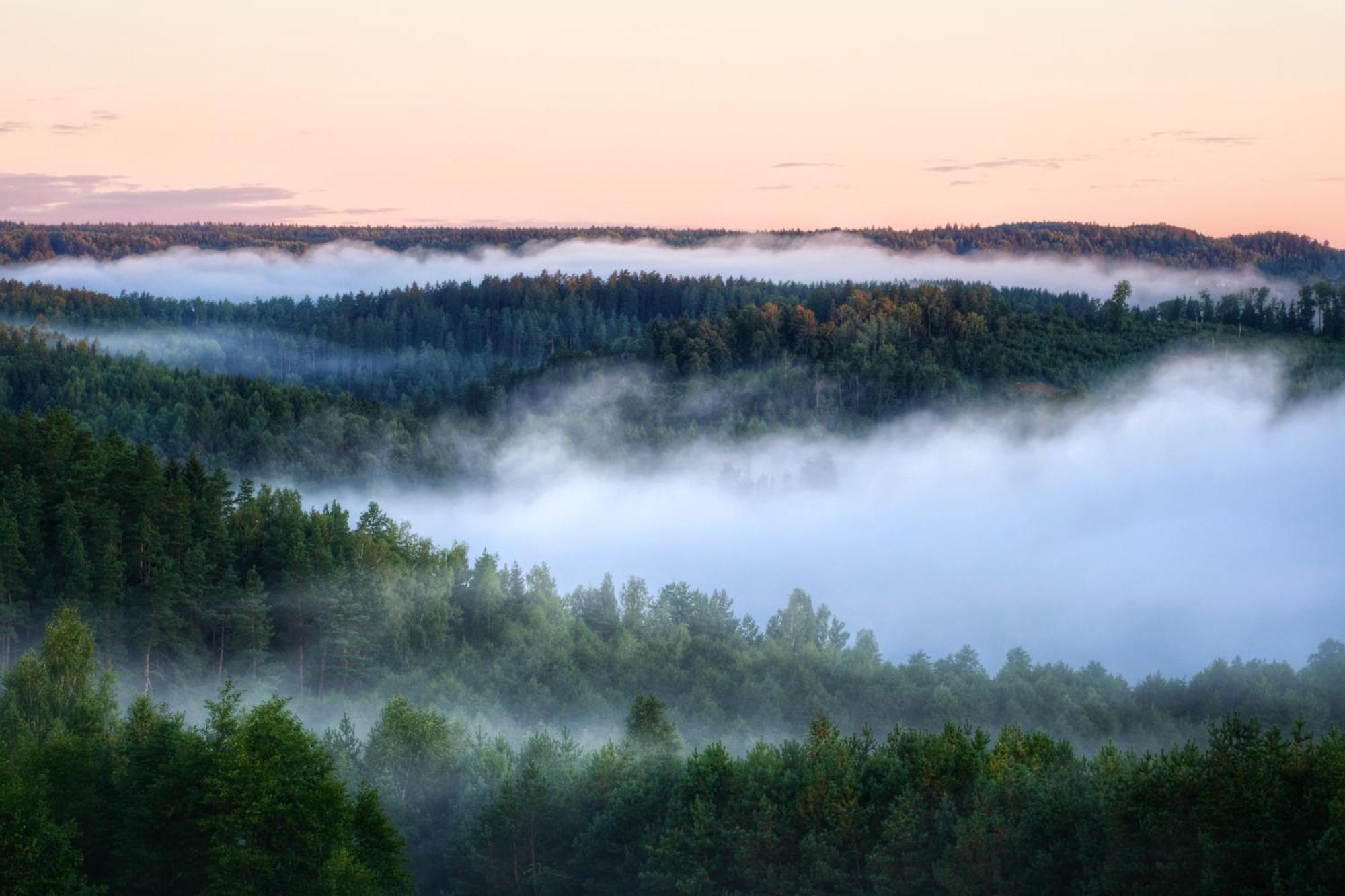 Cozy Reja * Suwalki